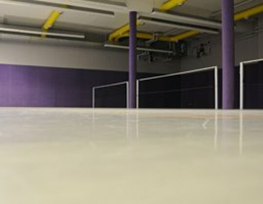 Badminton Halle Tettnang